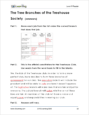 Reading, Level R - Sample Page