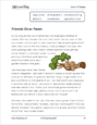 Reading, Levels Y and Z - Sample Page